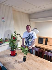 Allen 38 éves férfi, Baranya megye