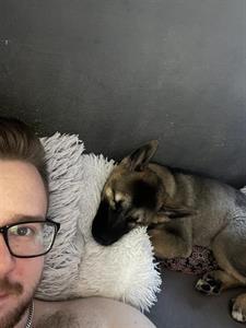 Bechapo 23 éves férfi, Budapest