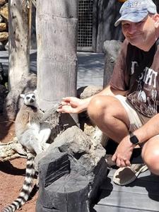 Berci 50 éves férfi, Pest megye