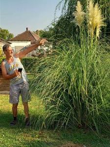 Csibi 59 éves férfi, Fejér megye