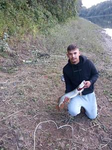 Gyuszko 23 éves férfi, Jász-Nagykun-Szolnok megye