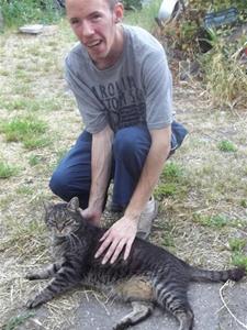 istvan 38 éves férfi, Budapest