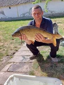 Misu 56 éves férfi, Békés megye