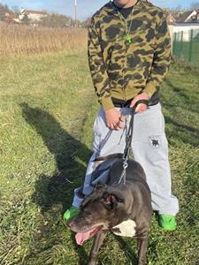 otto 18 éves férfi, Győr-Moson-Sopron megye