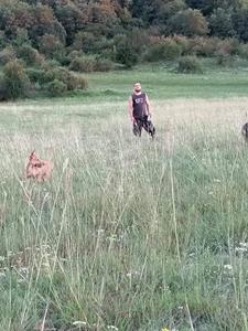 Petya 33 éves férfi, Komárom-Esztergom megye