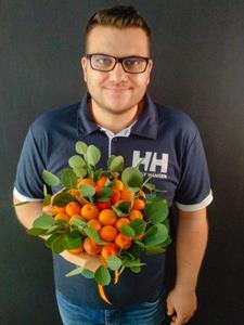 Stag 40 éves férfi, Győr-Moson-Sopron megye